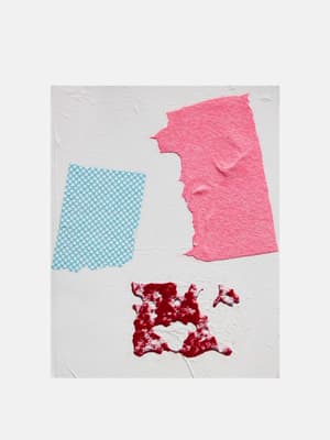Scarlett Bowman Domestic Bliss (red - blue - pink) - Listing Image