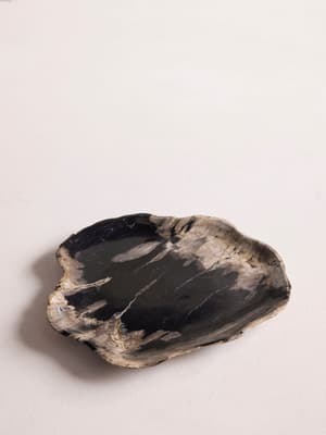 Balfern Petrified Wood Platter - Large - Hover Image